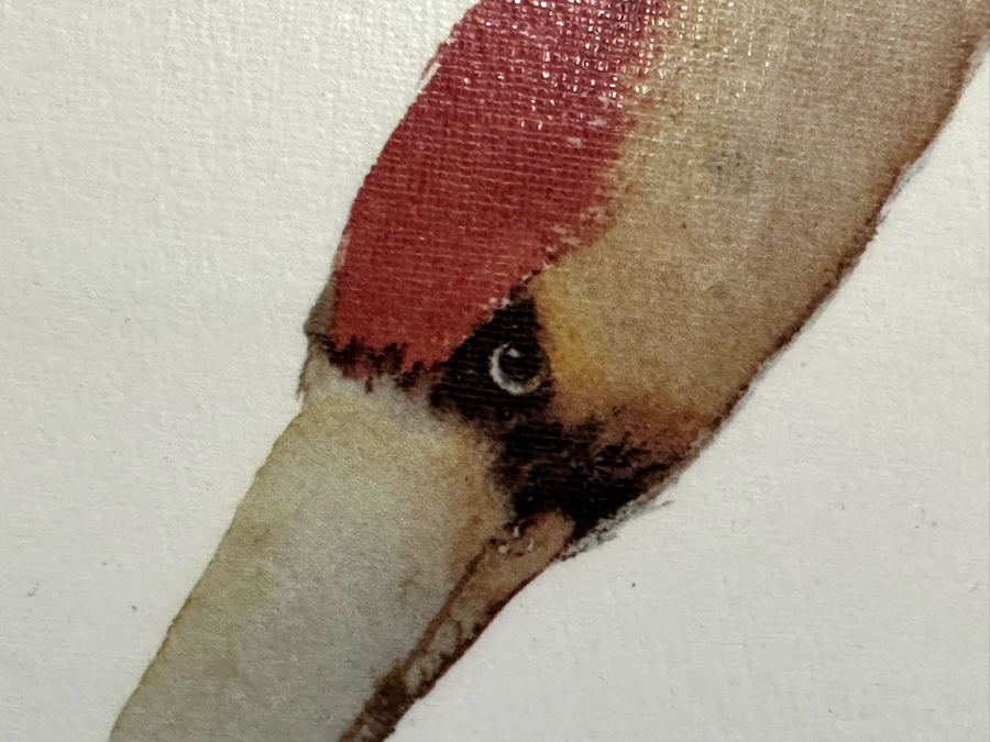 Pair Of Carol Grigg Crane Prints In Wooden Bamboo Motif Frames 31.5 X 43.5 [Photo 14]