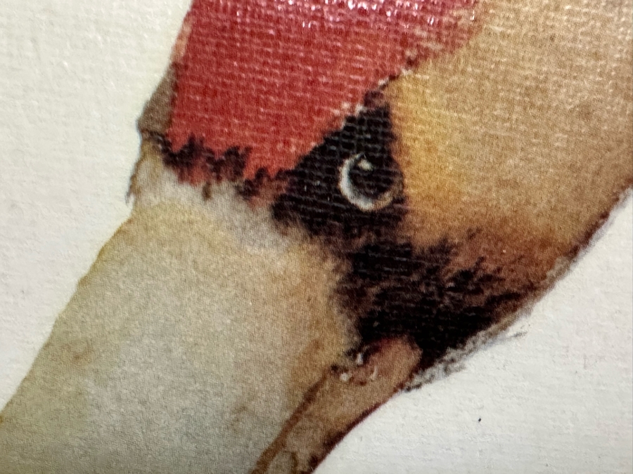 Pair Of Carol Grigg Crane Prints In Wooden Bamboo Motif Frames 31.5 X 43.5 [Photo 15]