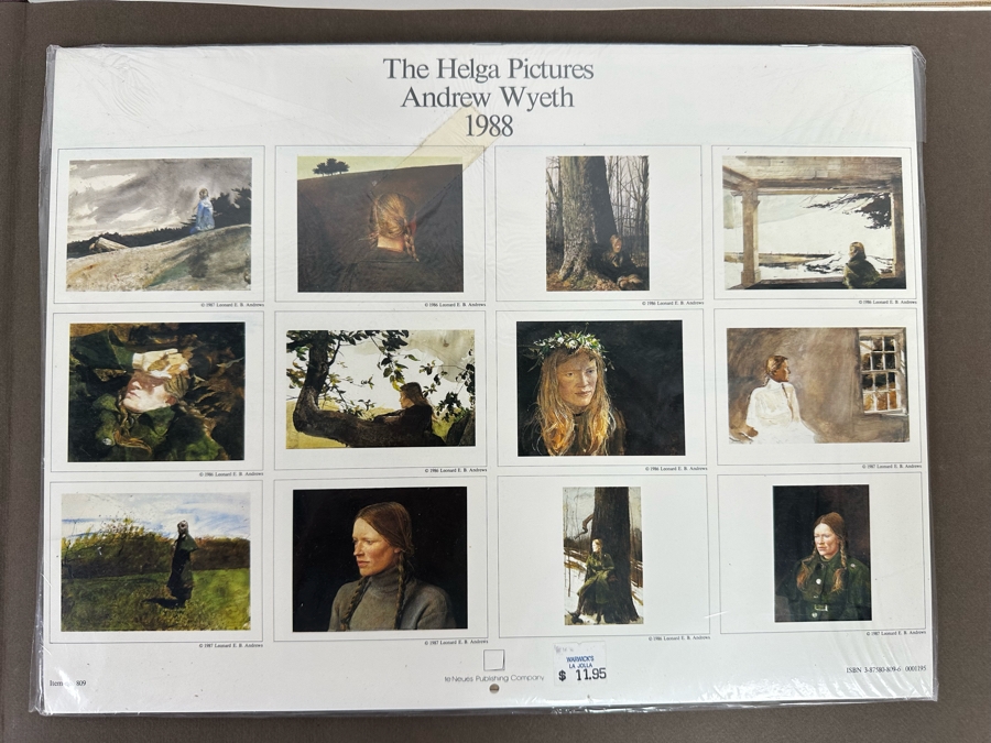 First Printing 1968 Hardcover Book Andrew Wyeth By Richard Meryman 67-18254 [Photo 4]