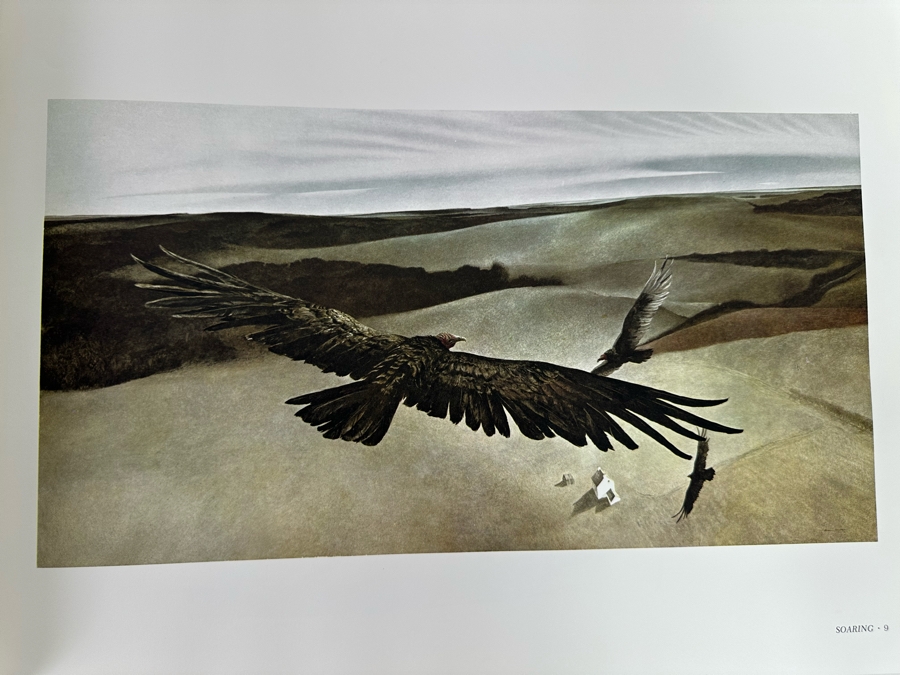 First Printing 1968 Hardcover Book Andrew Wyeth By Richard Meryman 67-18254 [Photo 15]