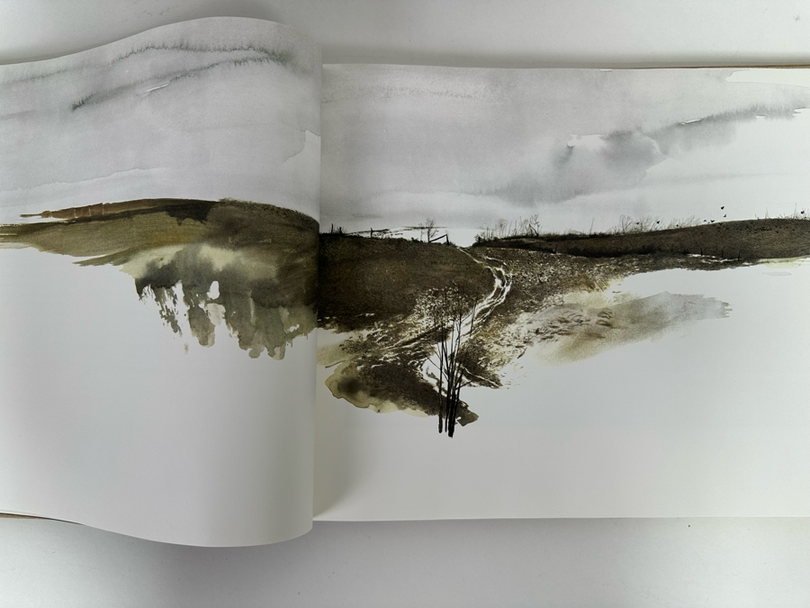 First Printing 1968 Hardcover Book Andrew Wyeth By Richard Meryman 67-18254 [Photo 14]