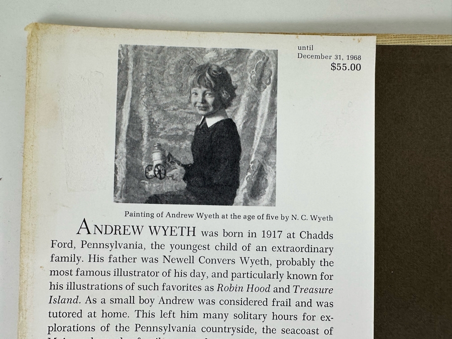 First Printing 1968 Hardcover Book Andrew Wyeth By Richard Meryman 67-18254 [Photo 7]
