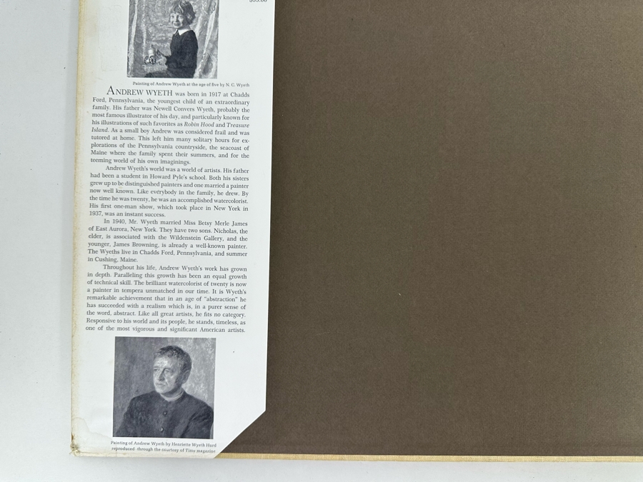 First Printing 1968 Hardcover Book Andrew Wyeth By Richard Meryman 67-18254 [Photo 6]