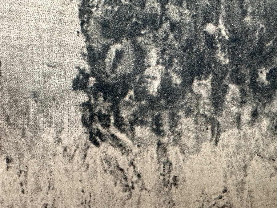 Henri-Jean Guillaume Martin (1860-1943, France) Neo-impressionist Landscape Heliograph Titled 'Landscape With Cypress' With Individual Roulette Work Pencil Signed By Henri Martin Limited To 200 Unnumbered Pieces From 1925 With Cert 19 X 17 Framed 28 X 26 [Photo 11]