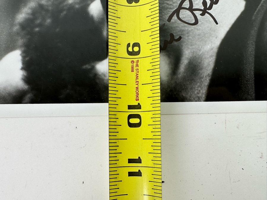 Five Autographed 8 X 10 B&W Photographs Of Movie Star / Bodybuilder Steve Reeves [Photo 17]