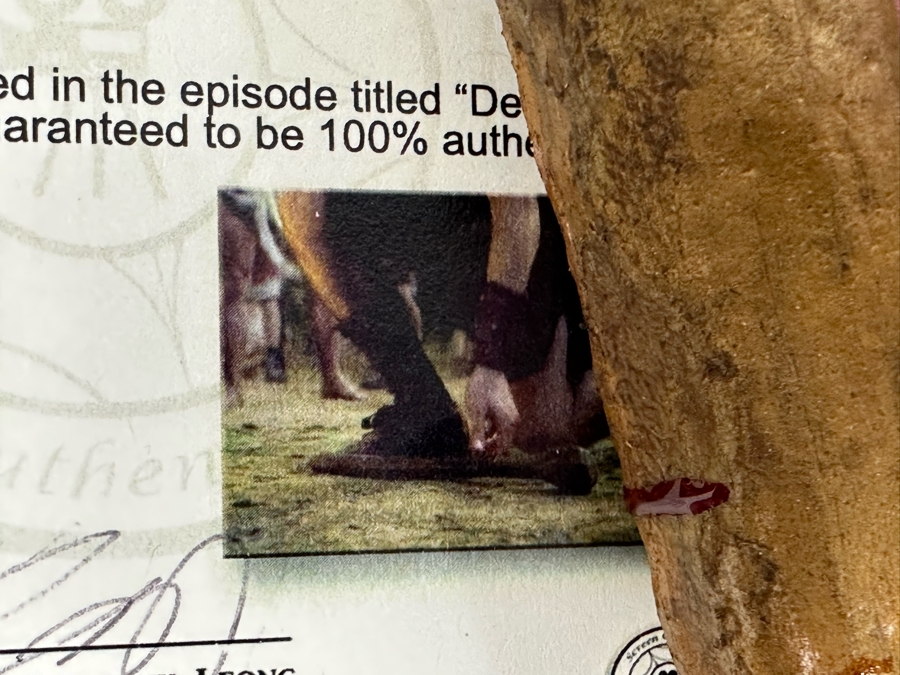 Screen Used Movie Prop Foam Club Used In Filming Spartacus: War Of The Damned With Cert Shadowbox Framed 19.5W X 24.5H X 3D [Photo 10]