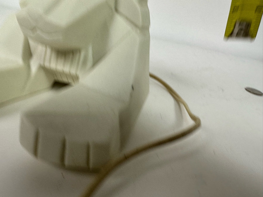 MGM Grand Hotel Lion Light 5H [Photo 9]