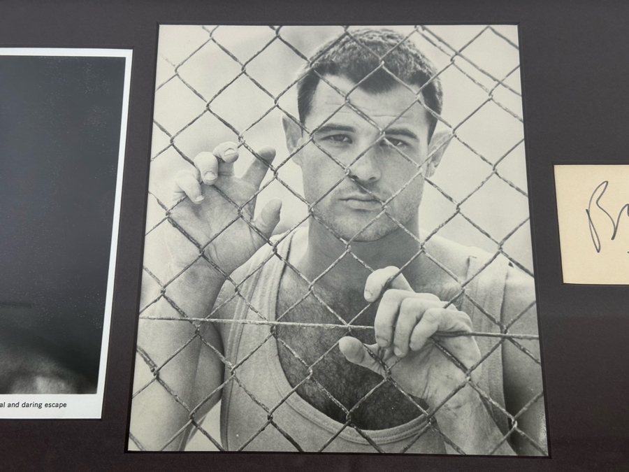 Brad Davis Autograph Along With Various Brad Davis Movie Photographs Framed 34.5 X 11.5 [Photo 8]