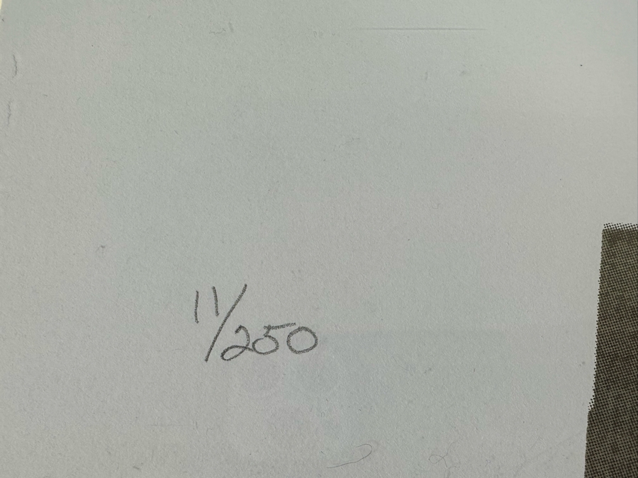 Mike Farnham Limited Edition Silkscreen Print Titled 'The Right To Light' 25.5 X 35.5 1990 Hand Signed Numbered 11 Of 250 Framed With Cert [Photo 11]
