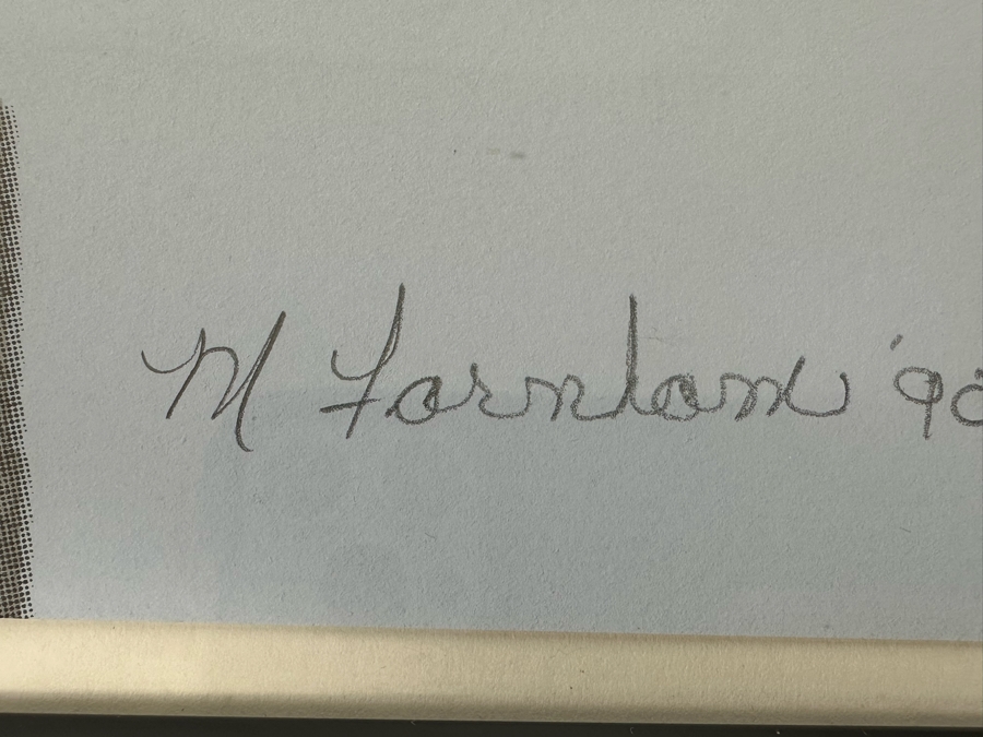 Mike Farnham Limited Edition Silkscreen Print Titled 'The Right To Light' 25.5 X 35.5 1990 Hand Signed Numbered 11 Of 250 Framed With Cert [Photo 10]