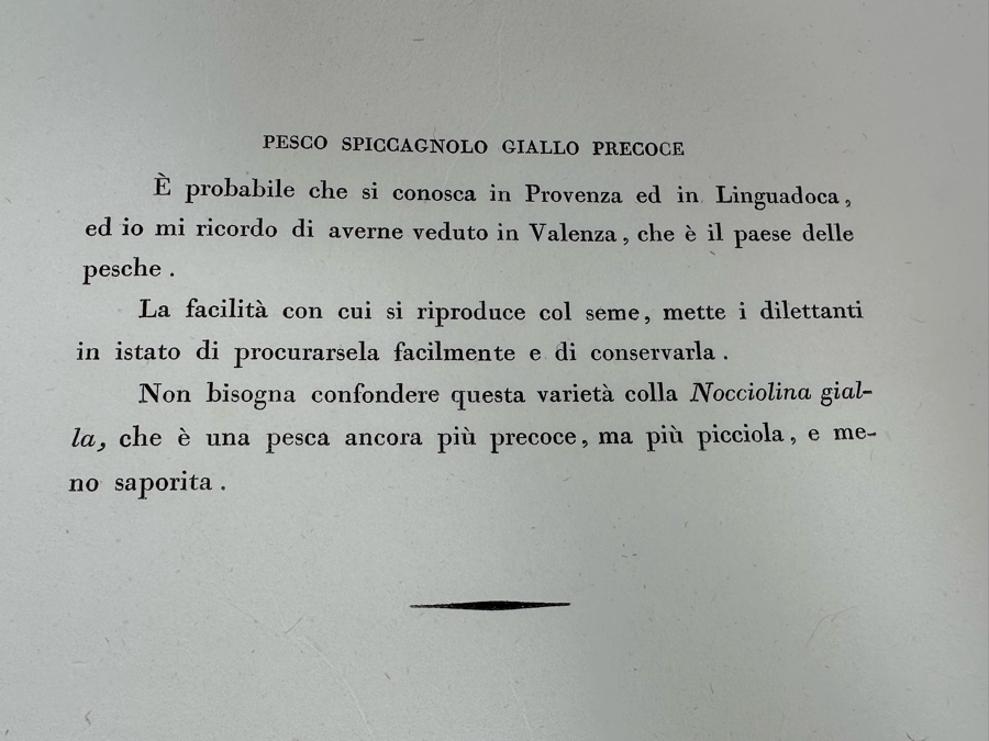 Giorgio Gallesio (1772-1839, Italian Botanist) Pomona Italiana, Ossia Trattato Degli Alberi Fruttiferi (Treatise On Fruit Trees) Original Antique Hand-Colored Engraving From Folio Incl Text Describing Fruit Framed 13.5 X 19 Dated 1829 RARE $600+ [Photo 17]