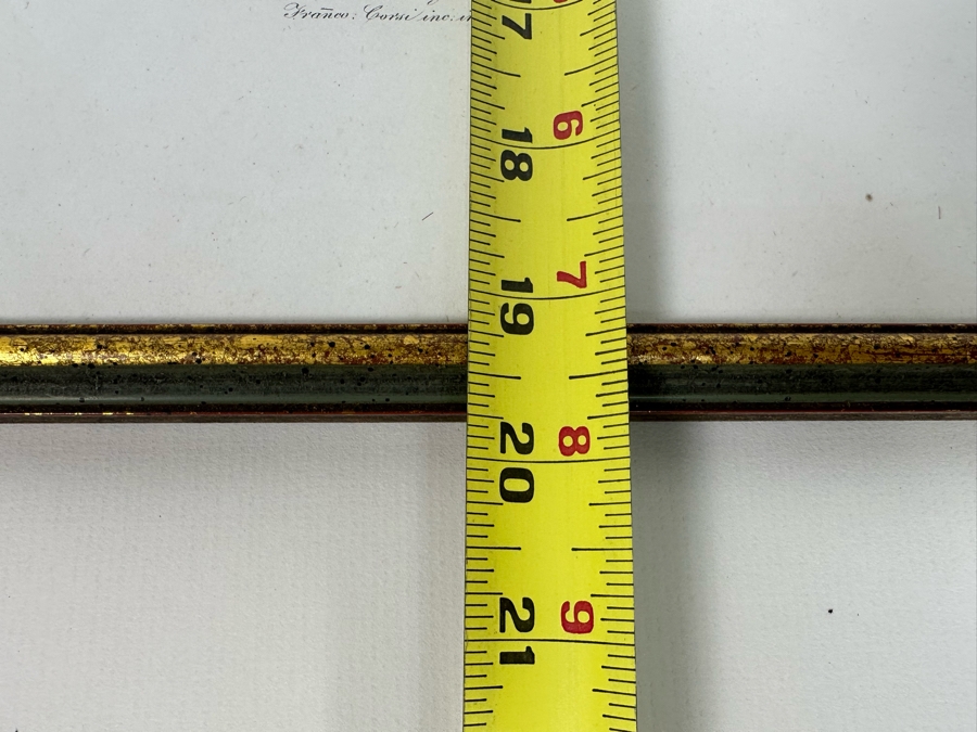 Giorgio Gallesio (1772-1839, Italian Botanist) Pomona Italiana, Ossia Trattato Degli Alberi Fruttiferi (Treatise On Fruit Trees) Original Antique Hand-Colored Engraving From Folio Incl Text Describing Fruit Framed 13.5 X 19 Dated 1829 RARE $600+ [Photo 19]