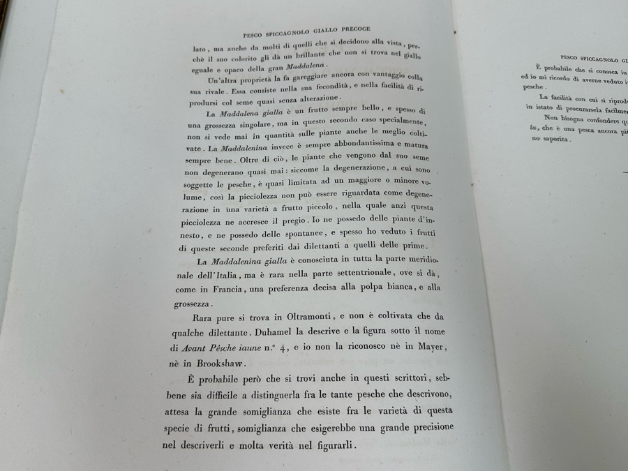 Giorgio Gallesio (1772-1839, Italian Botanist) Pomona Italiana, Ossia Trattato Degli Alberi Fruttiferi (Treatise On Fruit Trees) Original Antique Hand-Colored Engraving From Folio Incl Text Describing Fruit Framed 13.5 X 19 Dated 1829 RARE $600+ [Photo 16]