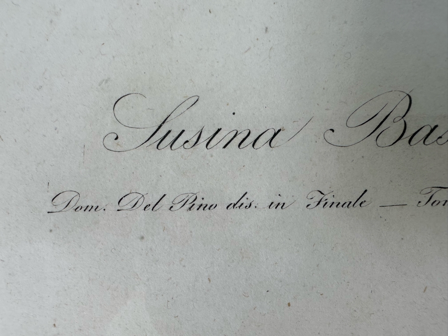 Giorgio Gallesio (1772-1839, Italian Botanist) Pomona Italiana, Ossia Trattato Degli Alberi Fruttiferi (Treatise On Fruit Trees) Original Antique Hand-Colored Engraving From Folio Incl Text Describing Fruit Framed 13.5 X 19 RARE $600+ [Photo 12]