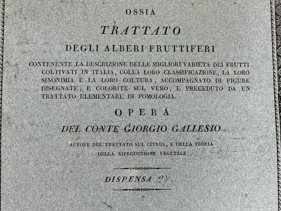 Giorgio Gallesio (1772-1839, Italian Botanist) Pomona Italiana, Ossia Trattato Degli Alberi Fruttiferi (Treatise On Fruit Trees) Original Antique Hand-Colored Engraving From Folio Incl Text Describing Fruit Framed 13.5 X 19 RARE $600+ [Photo 14]