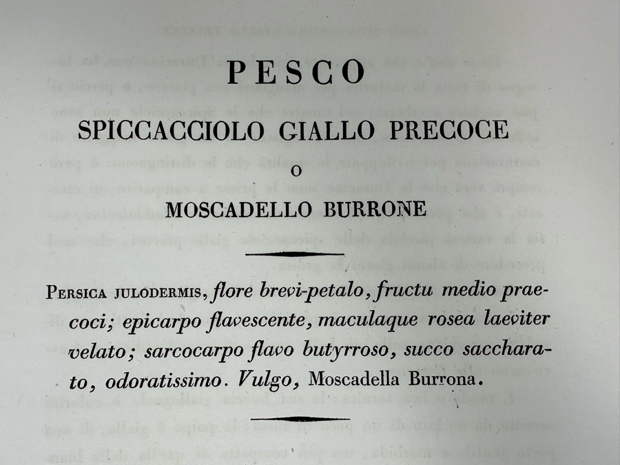 Giorgio Gallesio (1772-1839, Italian Botanist) Pomona Italiana, Ossia Trattato Degli Alberi Fruttiferi (Treatise On Fruit Trees) Original Antique Hand-Colored Engraving From Folio Incl Text Describing Fruit Framed 13.5 X 19 RARE $600+ [Photo 17]