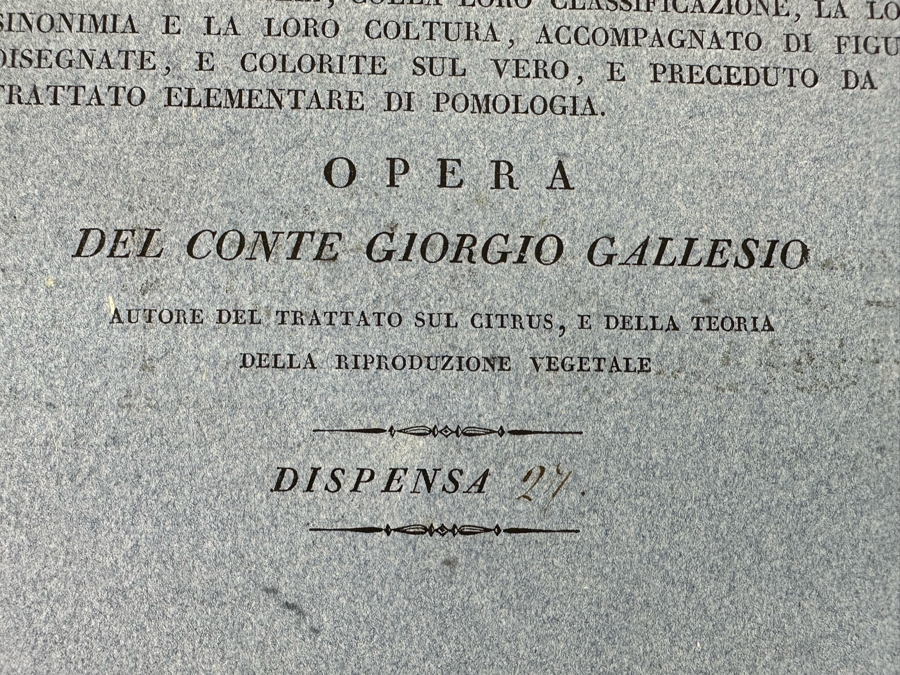 Giorgio Gallesio (1772-1839, Italian Botanist) Pomona Italiana, Ossia Trattato Degli Alberi Fruttiferi (Treatise On Fruit Trees) Original Antique Hand-Colored Engraving From Folio Incl Text Describing Fruit Framed 13.5 X 19 RARE $600+ [Photo 15]