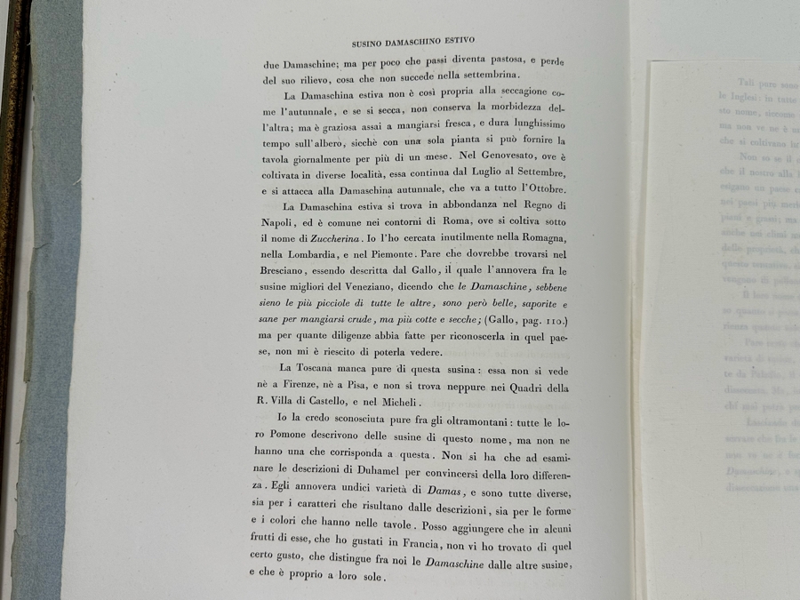 Giorgio Gallesio (1772-1839, Italian Botanist) Pomona Italiana, Ossia Trattato Degli Alberi Fruttiferi (Treatise On Fruit Trees) Original Antique Hand-Colored Engraving From Folio Incl Text Describing Fruit Framed 13.5 X 19 RARE $600+ [Photo 17]