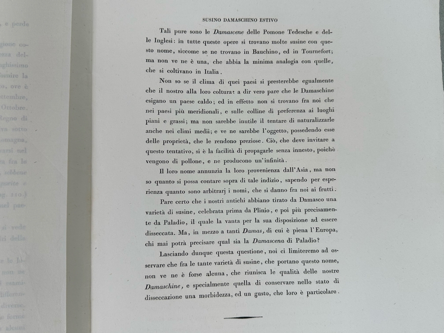 Giorgio Gallesio (1772-1839, Italian Botanist) Pomona Italiana, Ossia Trattato Degli Alberi Fruttiferi (Treatise On Fruit Trees) Original Antique Hand-Colored Engraving From Folio Incl Text Describing Fruit Framed 13.5 X 19 RARE $600+ [Photo 18]