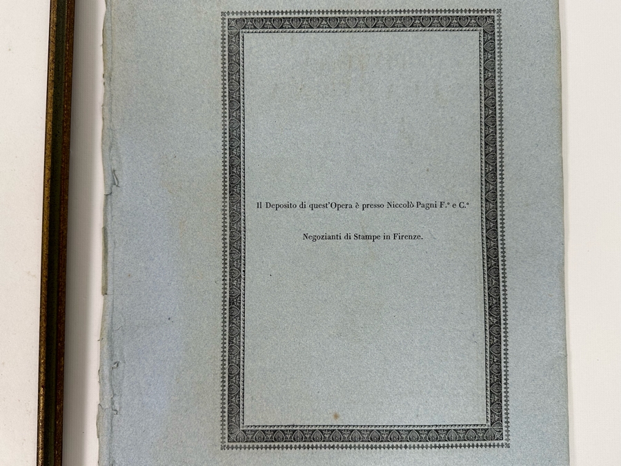 Giorgio Gallesio (1772-1839, Italian Botanist) Pomona Italiana, Ossia Trattato Degli Alberi Fruttiferi (Treatise On Fruit Trees) Original Antique Hand-Colored Engraving From Folio Incl Text Describing Fruit Framed 13.5 X 19 RARE $600+ [Photo 20]