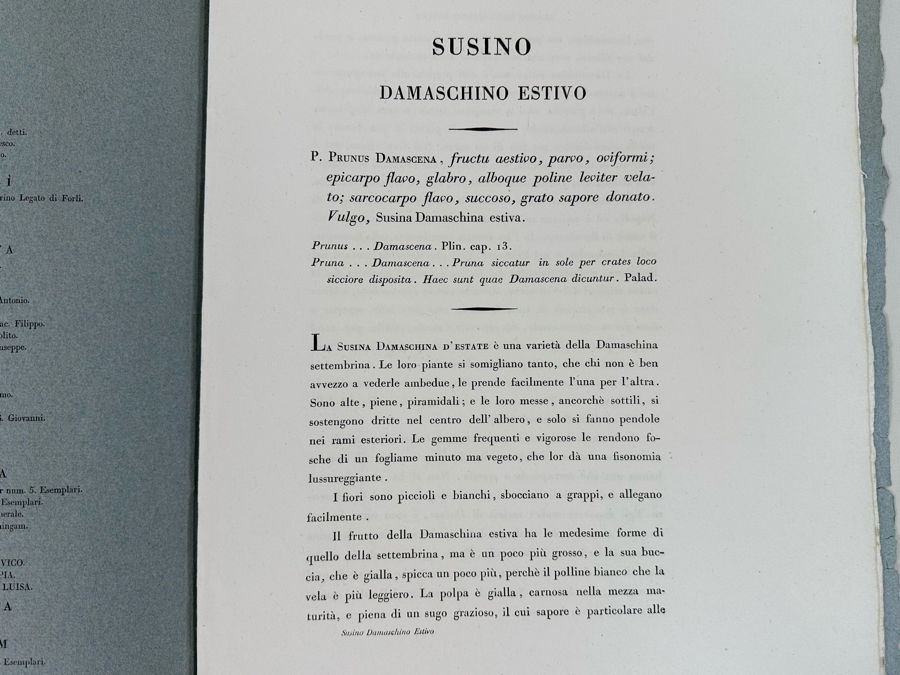 Giorgio Gallesio (1772-1839, Italian Botanist) Pomona Italiana, Ossia Trattato Degli Alberi Fruttiferi (Treatise On Fruit Trees) Original Antique Hand-Colored Engraving From Folio Incl Text Describing Fruit Framed 13.5 X 19 RARE $600+ [Photo 15]