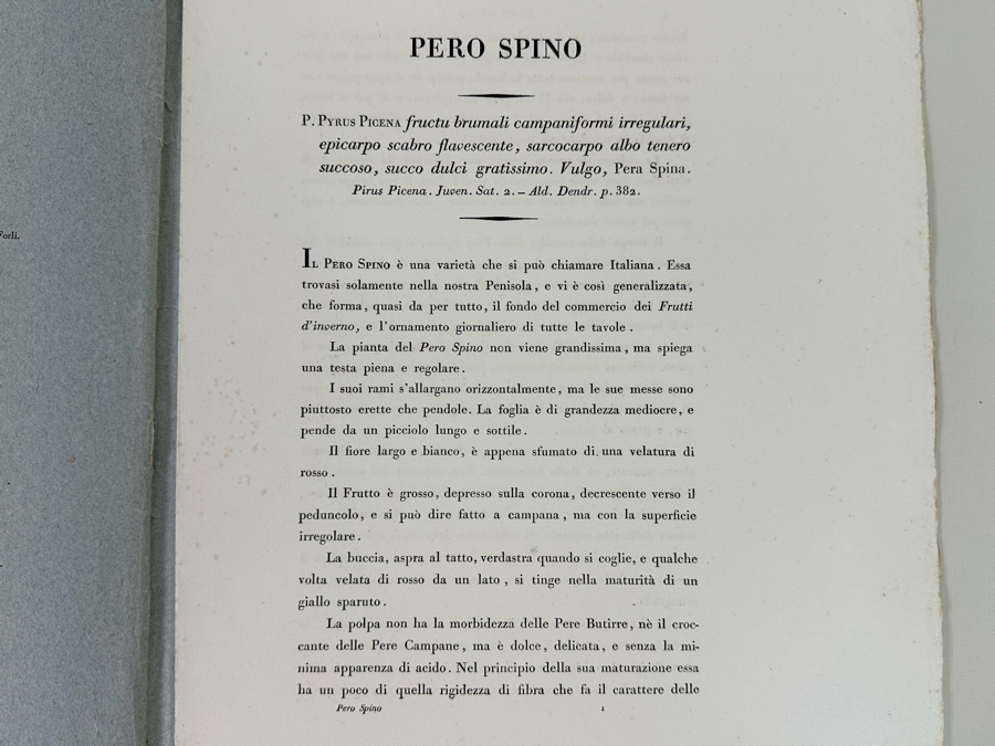 Giorgio Gallesio (1772-1839, Italian Botanist) Pomona Italiana, Ossia Trattato Degli Alberi Fruttiferi (Treatise On Fruit Trees) Original Antique Hand-Colored Engraving From Folio Incl Text Describing Fruit Framed 13.5 X 19 RARE $600+ [Photo 17]