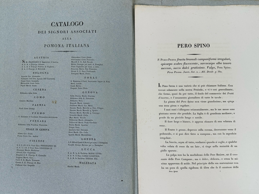 Giorgio Gallesio (1772-1839, Italian Botanist) Pomona Italiana, Ossia Trattato Degli Alberi Fruttiferi (Treatise On Fruit Trees) Original Antique Hand-Colored Engraving From Folio Incl Text Describing Fruit Framed 13.5 X 19 RARE $600+ [Photo 16]