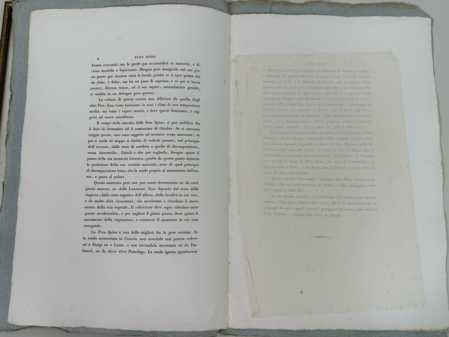 Giorgio Gallesio (1772-1839, Italian Botanist) Pomona Italiana, Ossia Trattato Degli Alberi Fruttiferi (Treatise On Fruit Trees) Original Antique Hand-Colored Engraving From Folio Incl Text Describing Fruit Framed 13.5 X 19 RARE $600+ [Photo 19]