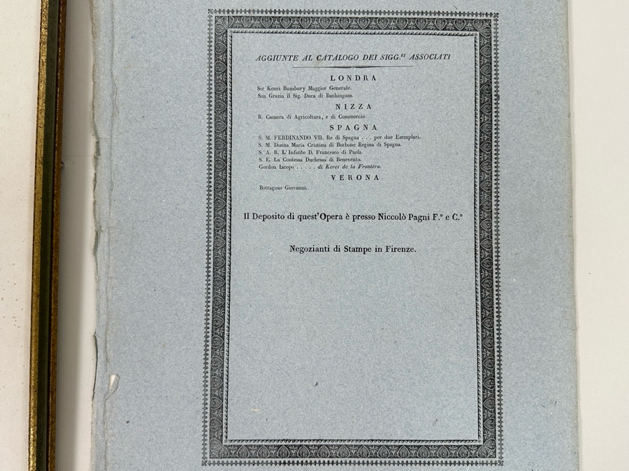 Giorgio Gallesio (1772-1839, Italian Botanist) Pomona Italiana, Ossia Trattato Degli Alberi Fruttiferi (Treatise On Fruit Trees) Original Antique Hand-Colored Engraving From Folio Incl Text Describing Fruit Framed 13.5 X 19 RARE $600+ [Photo 23]