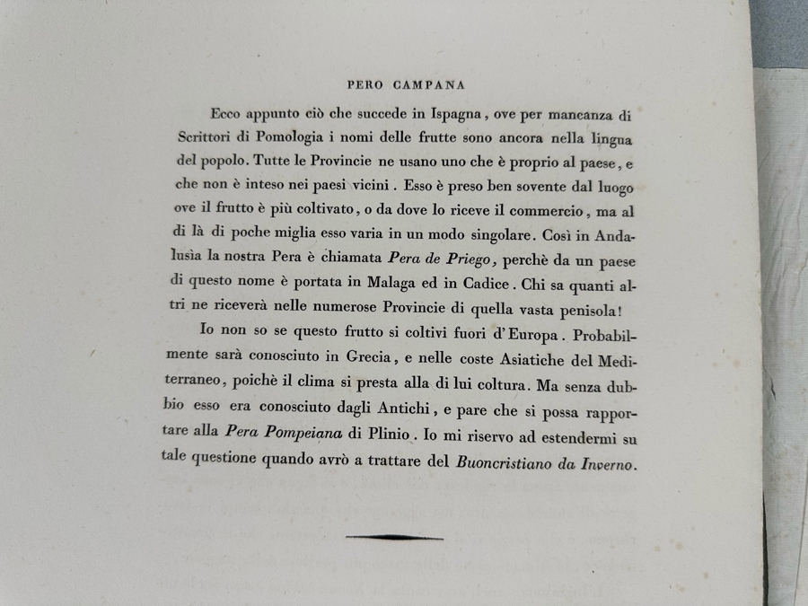 Giorgio Gallesio (1772-1839, Italian Botanist) Pomona Italiana, Ossia Trattato Degli Alberi Fruttiferi (Treatise On Fruit Trees) Original Antique Hand-Colored Engraving From Folio Incl Text Describing Fruit Framed 13.5 X 19 RARE $600+ [Photo 26]