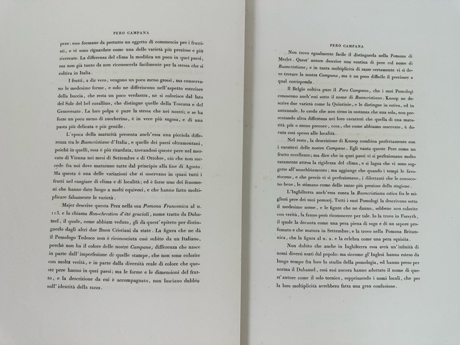 Giorgio Gallesio (1772-1839, Italian Botanist) Pomona Italiana, Ossia Trattato Degli Alberi Fruttiferi (Treatise On Fruit Trees) Original Antique Hand-Colored Engraving From Folio Incl Text Describing Fruit Framed 13.5 X 19 RARE $600+ [Photo 23]