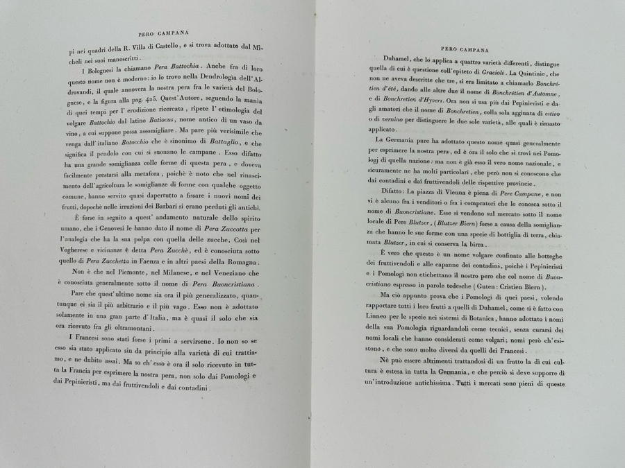 Giorgio Gallesio (1772-1839, Italian Botanist) Pomona Italiana, Ossia Trattato Degli Alberi Fruttiferi (Treatise On Fruit Trees) Original Antique Hand-Colored Engraving From Folio Incl Text Describing Fruit Framed 13.5 X 19 RARE $600+ [Photo 20]