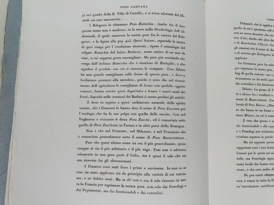 Giorgio Gallesio (1772-1839, Italian Botanist) Pomona Italiana, Ossia Trattato Degli Alberi Fruttiferi (Treatise On Fruit Trees) Original Antique Hand-Colored Engraving From Folio Incl Text Describing Fruit Framed 13.5 X 19 RARE $600+ [Photo 21]