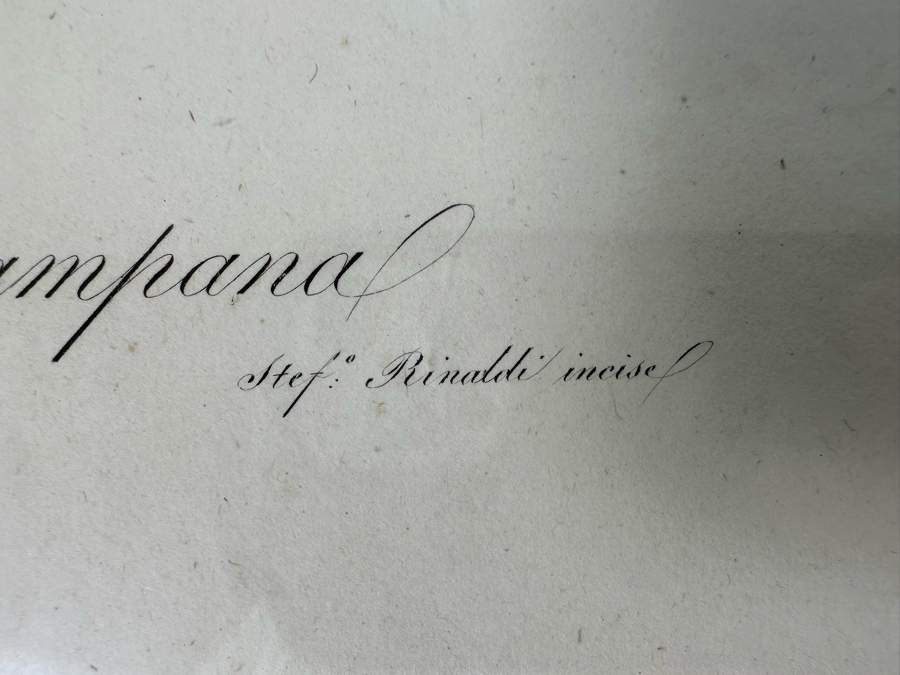 Giorgio Gallesio (1772-1839, Italian Botanist) Pomona Italiana, Ossia Trattato Degli Alberi Fruttiferi (Treatise On Fruit Trees) Original Antique Hand-Colored Engraving From Folio Incl Text Describing Fruit Framed 13.5 X 19 RARE $600+ [Photo 13]