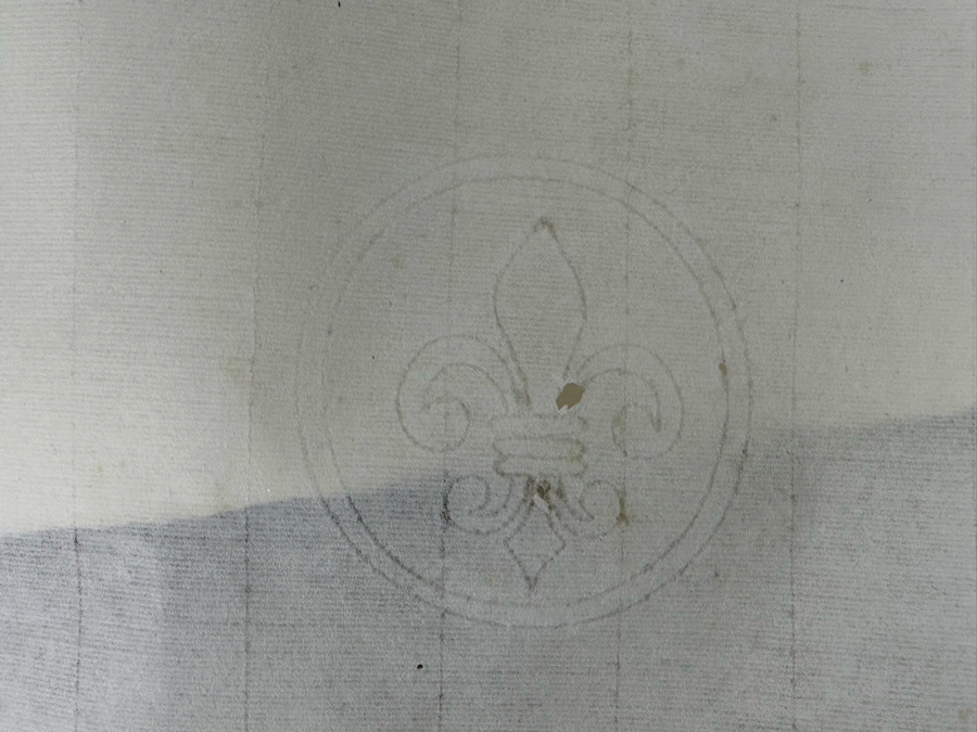 Giorgio Gallesio (1772-1839, Italian Botanist) Pomona Italiana, Ossia Trattato Degli Alberi Fruttiferi (Treatise On Fruit Trees) Original Antique Hand-Colored Engraving From Folio Incl Text Describing Fruit Framed 13.5 X 19 RARE $600+ [Photo 14]