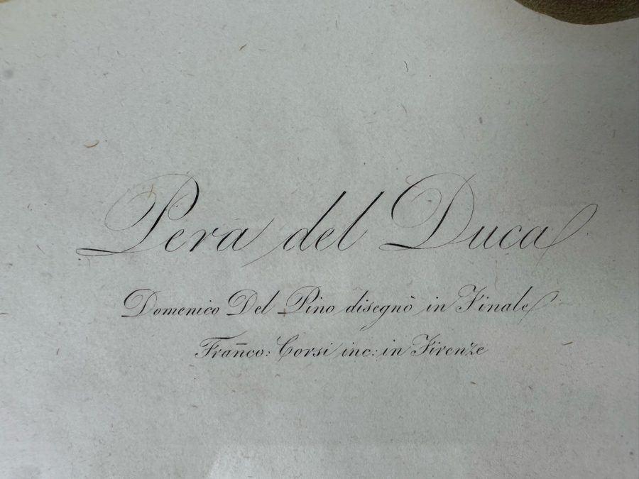 Giorgio Gallesio (1772-1839, Italian Botanist) Pomona Italiana, Ossia Trattato Degli Alberi Fruttiferi (Treatise On Fruit Trees) Original Antique Hand-Colored Engraving From Folio Incl Text Describing Fruit Framed 13.5 X 19 RARE $600+ [Photo 10]