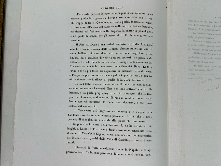Giorgio Gallesio (1772-1839, Italian Botanist) Pomona Italiana, Ossia Trattato Degli Alberi Fruttiferi (Treatise On Fruit Trees) Original Antique Hand-Colored Engraving From Folio Incl Text Describing Fruit Framed 13.5 X 19 RARE $600+ [Photo 13]