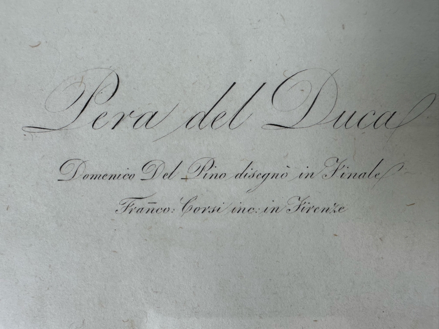 Giorgio Gallesio (1772-1839, Italian Botanist) Pomona Italiana, Ossia Trattato Degli Alberi Fruttiferi (Treatise On Fruit Trees) Original Antique Hand-Colored Engraving From Folio Incl Text Describing Fruit Framed 13.5 X 19 RARE $600+ [Photo 11]