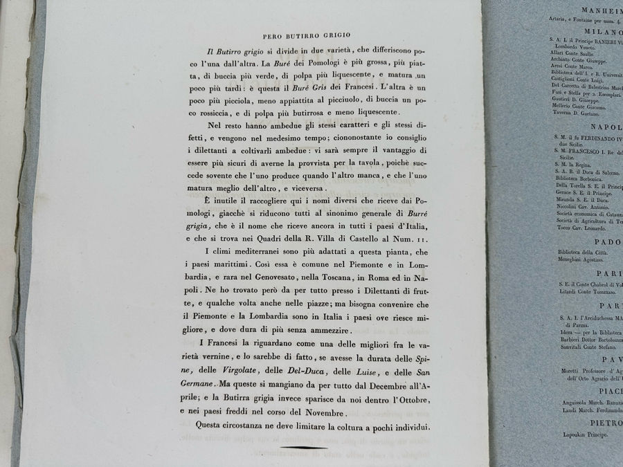 Giorgio Gallesio (1772-1839, Italian Botanist) Pomona Italiana, Ossia Trattato Degli Alberi Fruttiferi (Treatise On Fruit Trees) Original Antique Hand-Colored Engraving From Folio Incl Text Describing Fruit Framed 13.5 X 19 RARE $600+ [Photo 14]