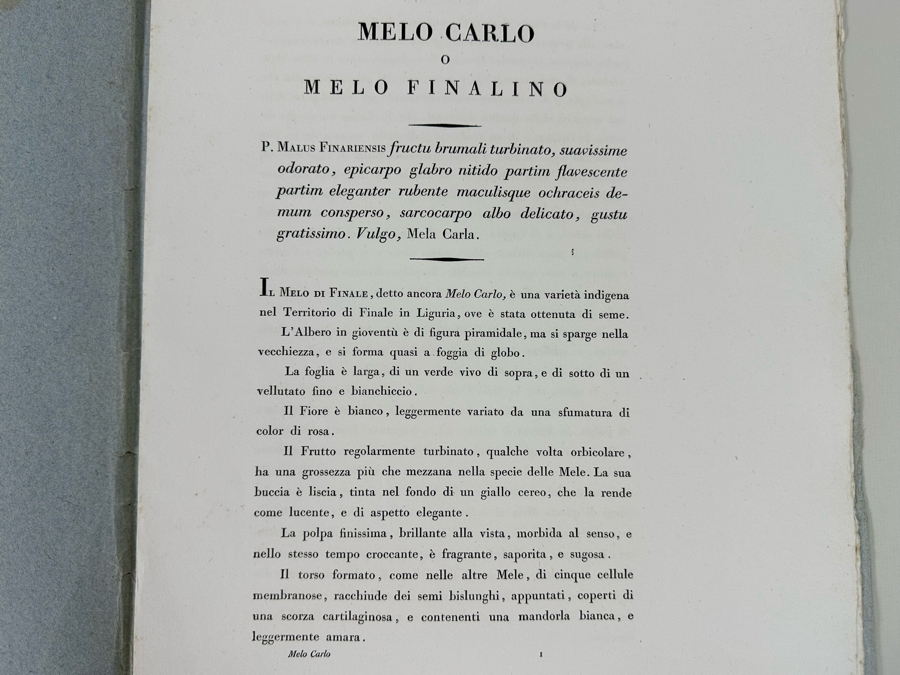 Giorgio Gallesio (1772-1839, Italian Botanist) Pomona Italiana, Ossia Trattato Degli Alberi Fruttiferi (Treatise On Fruit Trees) Original Antique Hand-Colored Engraving From Folio Incl Text Describing Fruit Framed 13.5 X 19 RARE $600+ [Photo 11]