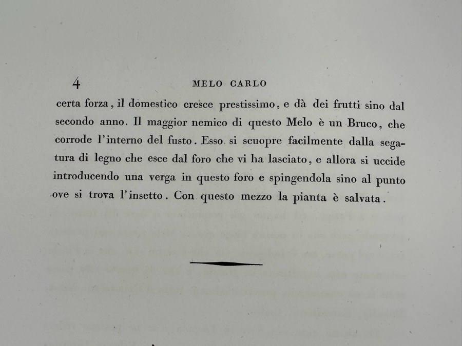 Giorgio Gallesio (1772-1839, Italian Botanist) Pomona Italiana, Ossia Trattato Degli Alberi Fruttiferi (Treatise On Fruit Trees) Original Antique Hand-Colored Engraving From Folio Incl Text Describing Fruit Framed 13.5 X 19 RARE $600+ [Photo 14]