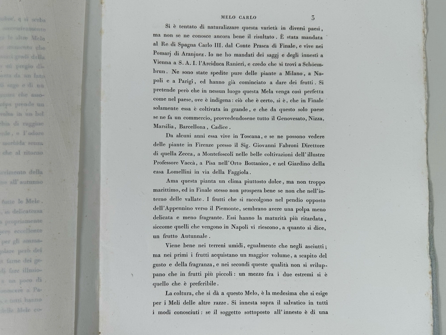 Giorgio Gallesio (1772-1839, Italian Botanist) Pomona Italiana, Ossia Trattato Degli Alberi Fruttiferi (Treatise On Fruit Trees) Original Antique Hand-Colored Engraving From Folio Incl Text Describing Fruit Framed 13.5 X 19 RARE $600+ [Photo 13]