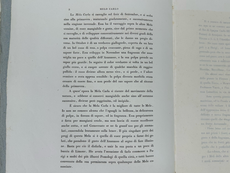 Giorgio Gallesio (1772-1839, Italian Botanist) Pomona Italiana, Ossia Trattato Degli Alberi Fruttiferi (Treatise On Fruit Trees) Original Antique Hand-Colored Engraving From Folio Incl Text Describing Fruit Framed 13.5 X 19 RARE $600+ [Photo 12]