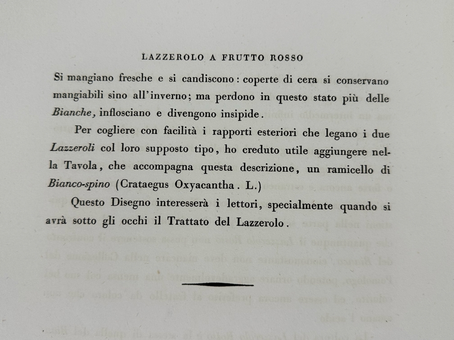 Giorgio Gallesio (1772-1839, Italian Botanist) Pomona Italiana, Ossia Trattato Degli Alberi Fruttiferi (Treatise On Fruit Trees) Original Antique Hand-Colored Engraving From Folio Incl Text Describing Fruit Framed 13.5 X 19 RARE $600+ [Photo 20]