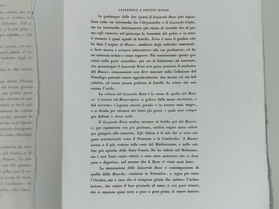 Giorgio Gallesio (1772-1839, Italian Botanist) Pomona Italiana, Ossia Trattato Degli Alberi Fruttiferi (Treatise On Fruit Trees) Original Antique Hand-Colored Engraving From Folio Incl Text Describing Fruit Framed 13.5 X 19 RARE $600+ [Photo 19]