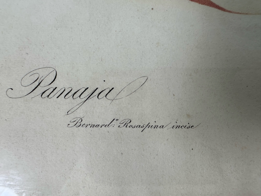 Giorgio Gallesio (1772-1839, Italian Botanist) Pomona Italiana, Ossia Trattato Degli Alberi Fruttiferi (Treatise On Fruit Trees) Original Antique Hand-Colored Engraving From Folio Incl Text Describing Fruit Framed 13.5 X 19 RARE $600+ [Photo 12]