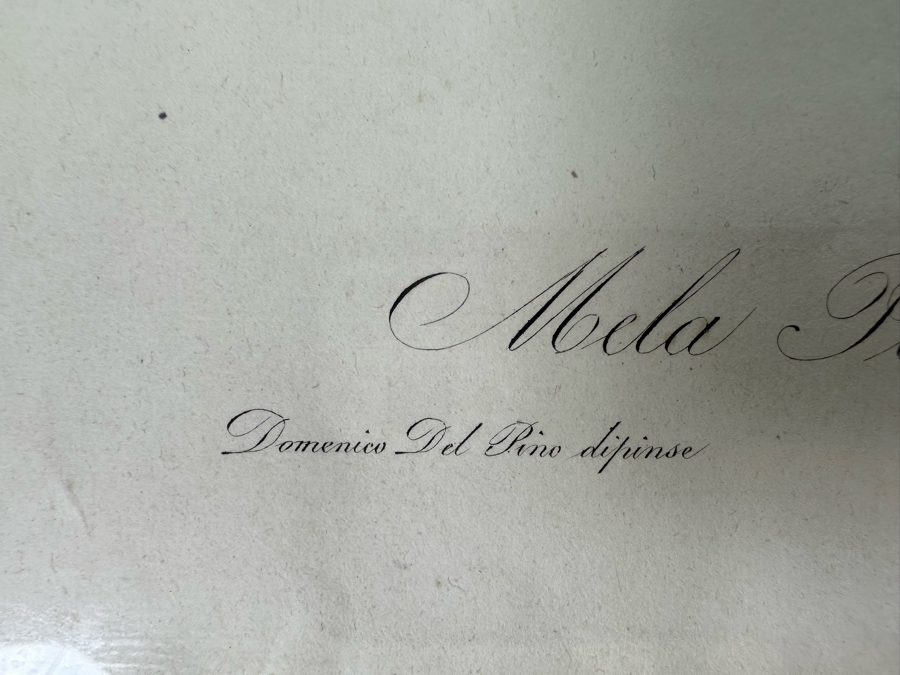 Giorgio Gallesio (1772-1839, Italian Botanist) Pomona Italiana, Ossia Trattato Degli Alberi Fruttiferi (Treatise On Fruit Trees) Original Antique Hand-Colored Engraving From Folio Incl Text Describing Fruit Framed 13.5 X 19 RARE $600+ [Photo 11]