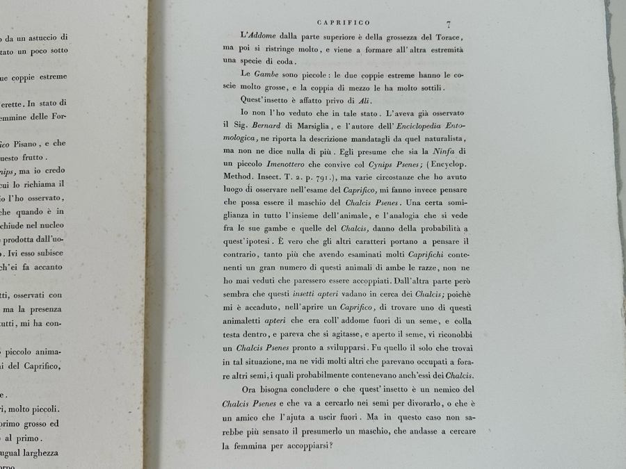 Giorgio Gallesio (1772-1839, Italian Botanist) Pomona Italiana, Ossia Trattato Degli Alberi Fruttiferi (Treatise On Fruit Trees) Original Antique Hand-Colored Engraving From Folio Incl Text Describing Fruit Framed 13.5 X 19 RARE $600+ [Photo 24]