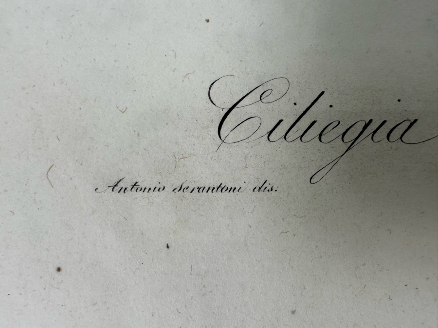 Giorgio Gallesio (1772-1839, Italian Botanist) Pomona Italiana, Ossia Trattato Degli Alberi Fruttiferi (Treatise On Fruit Trees) Original Antique Hand-Colored Engraving From Folio Incl Text Describing Fruit Framed 13.5 X 19 RARE $600+ [Photo 10]