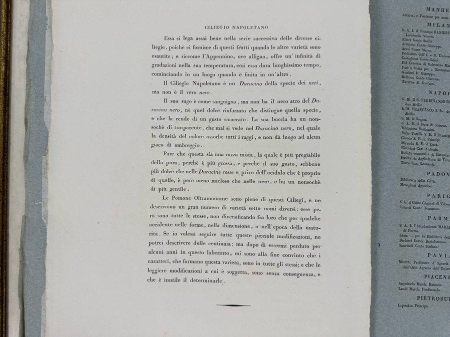 Giorgio Gallesio (1772-1839, Italian Botanist) Pomona Italiana, Ossia Trattato Degli Alberi Fruttiferi (Treatise On Fruit Trees) Original Antique Hand-Colored Engraving From Folio Incl Text Describing Fruit Framed 13.5 X 19 RARE $600+ [Photo 15]